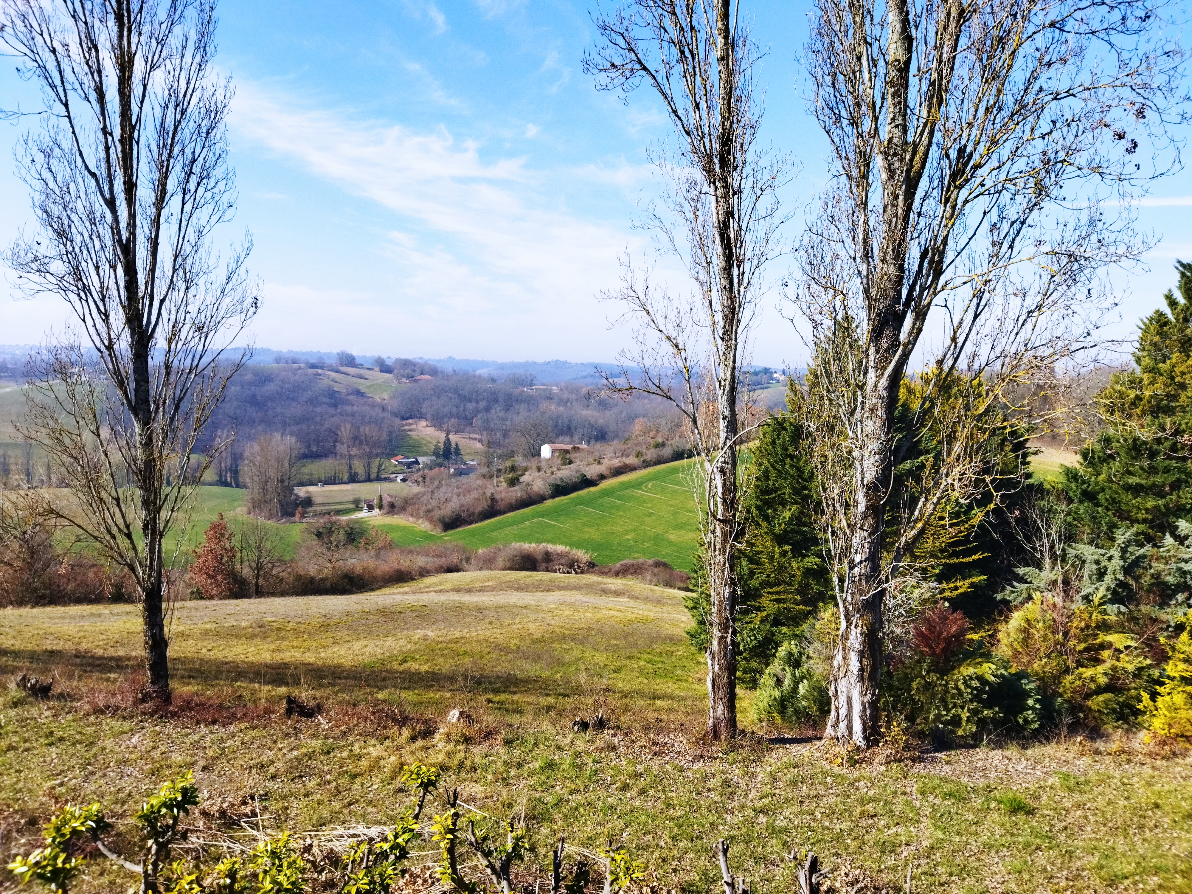 Photo des crêtes de Pignols